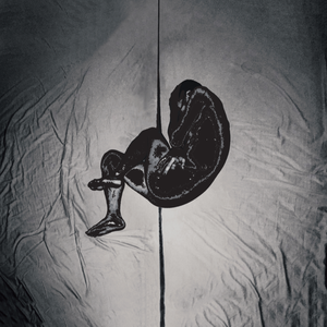 全彩18禁裸乳羞羞电影无遮挡
