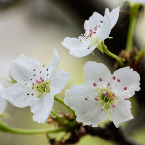 全彩18禁裸乳羞羞电影无遮挡
